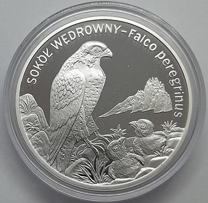 Moneta 20 zł Sokół wędrowny 2008